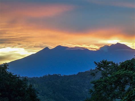 digos logo|Journey to Digos: Where the Beauty of Nature and Cultural.